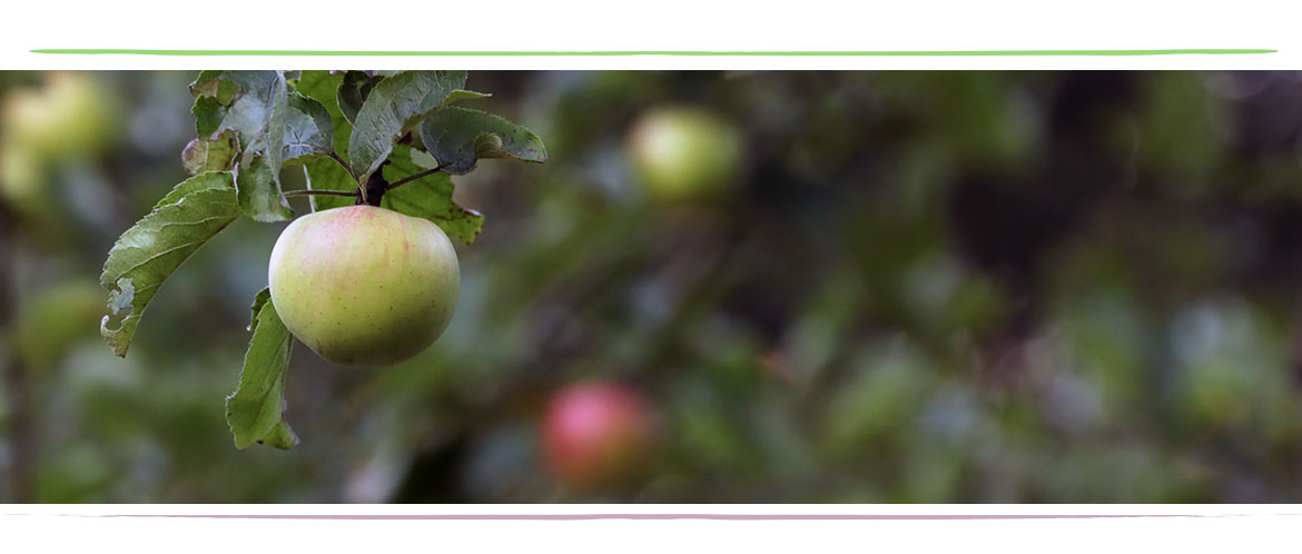 Lamis Chayeb Zahnärztin Zahnmedizin Hamburg Wandsbek
