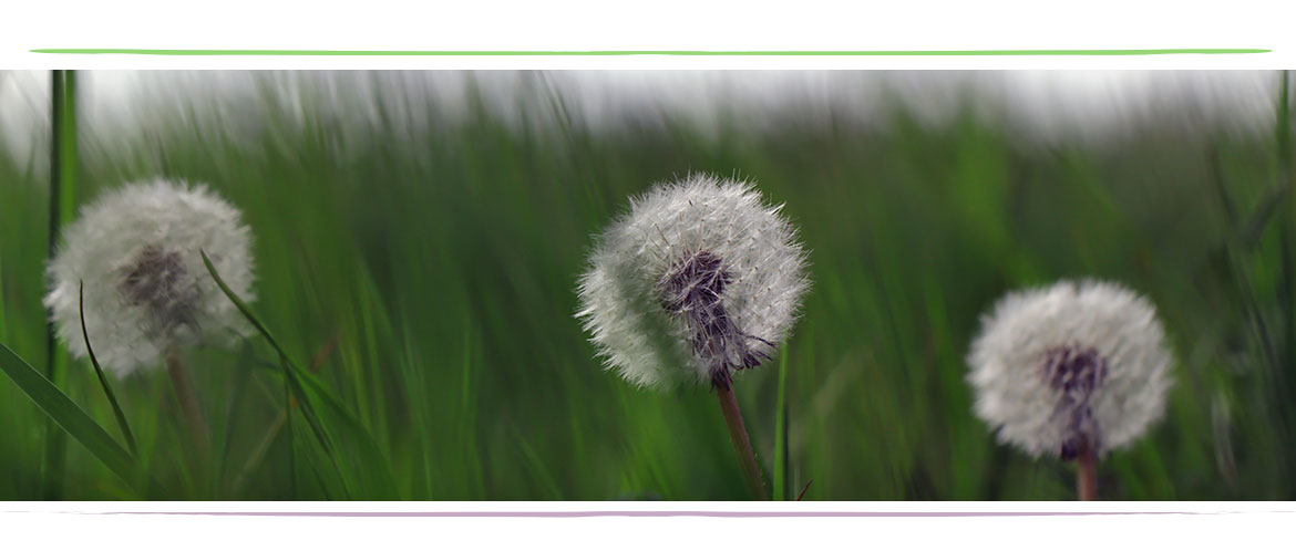 Lamis Chayeb Zahnarztpraxis Hamburg